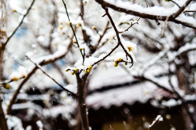 层原因