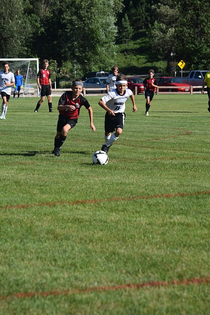 兰球星範布 兰球星範布