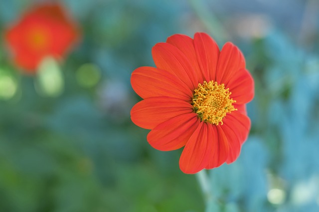 遭遇伤病 遭遇伤病
