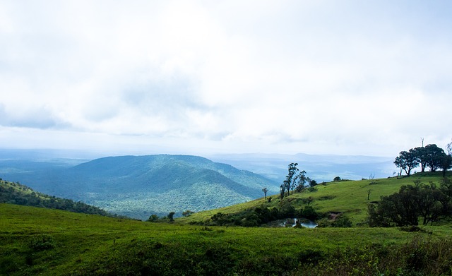 现在得分上 现在得分上