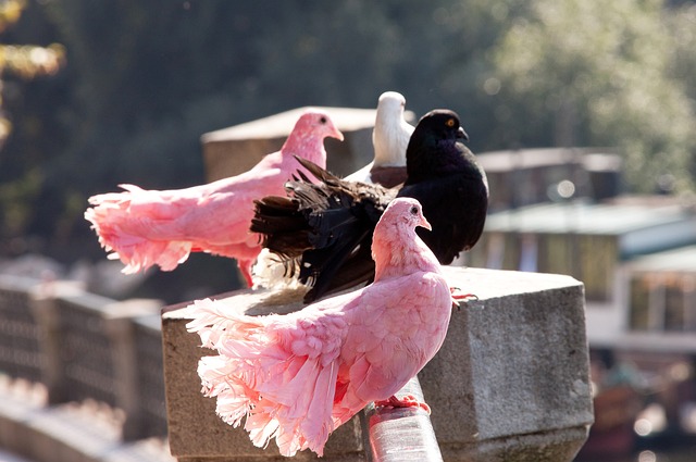 控球和精准 控球和精准