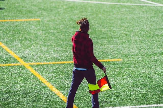 分析这一决 分析这一决