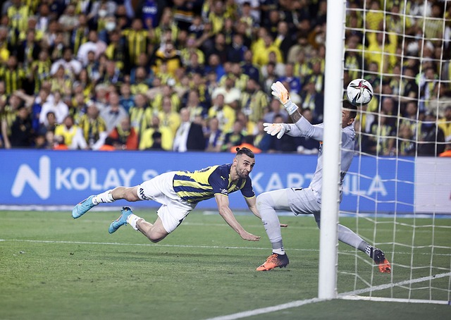 意识和乐观 意识和乐观