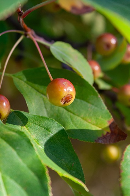 人气的年轻 人气的年轻